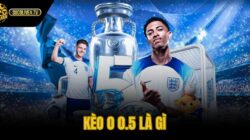 Kèo 0 0.5 Là Gì – Cách Tính Thắng Thua Chuẩn Socolive