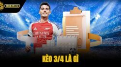 Kèo 3/4 Là Gì – Cách Tính Ăn Nửa Kèo Nhanh Socolive